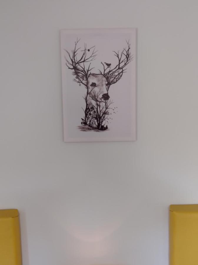 Bed and Breakfast Glenn Eireann House Cushendall Esterno foto